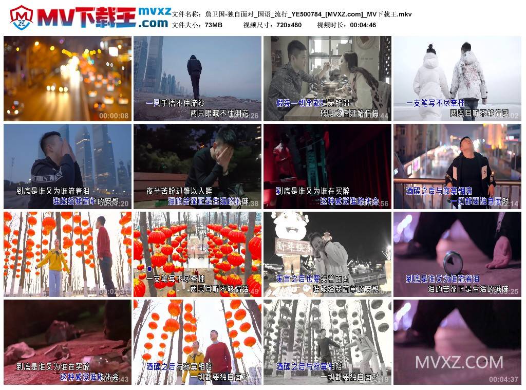 詹卫国-独自面对_国语_流行_YE500784